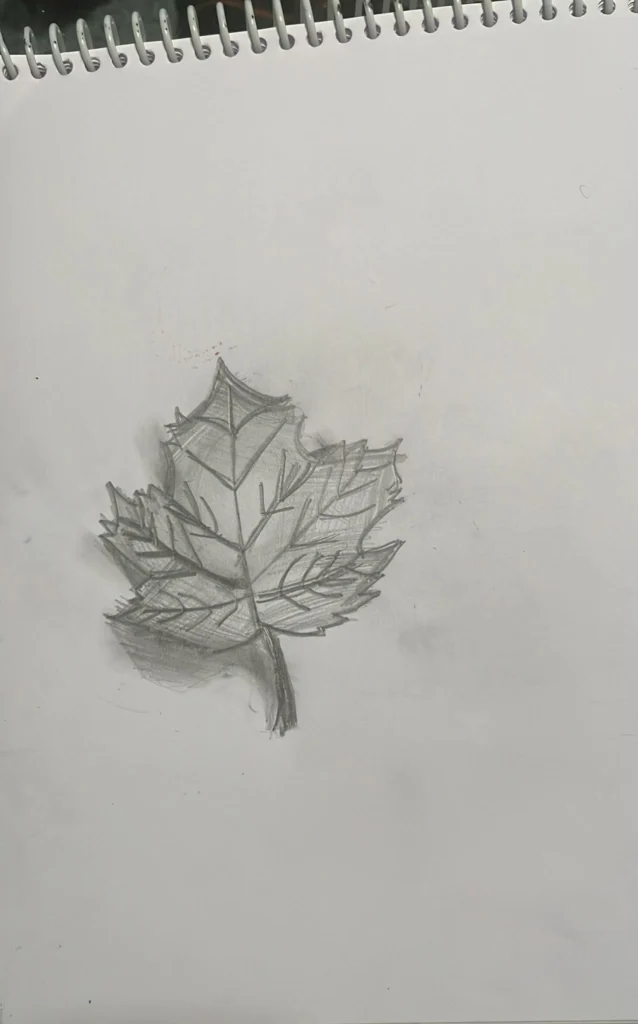 Leaf Drawing by Soumyaa